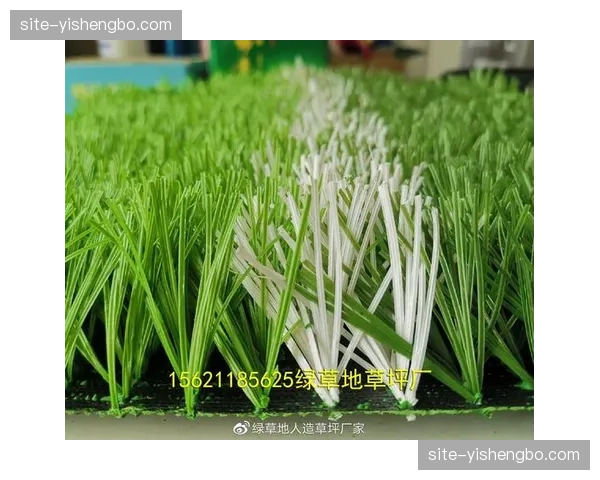 草皮养护质量因高频使用下降，场地因素间接导致传球成功率降低