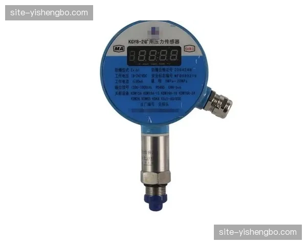 赛场边缘保护垫传感器正实时监测选手的冲撞力度